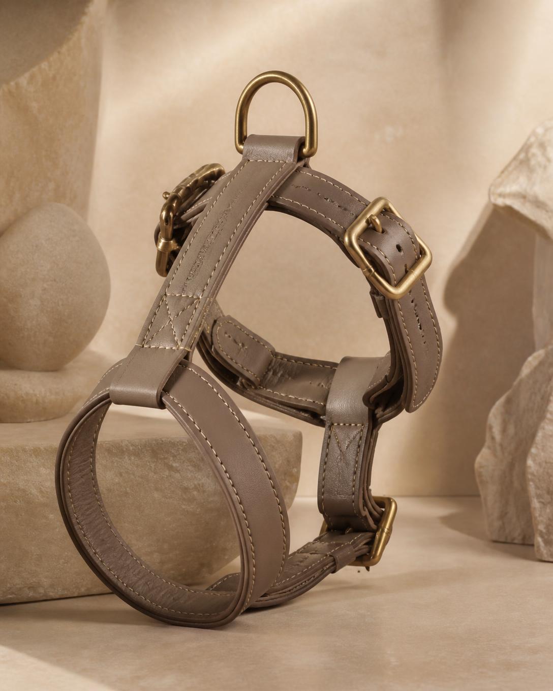 Taupe hand-stitched leather dog harness with brass buckles